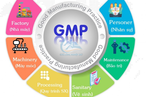 GMP