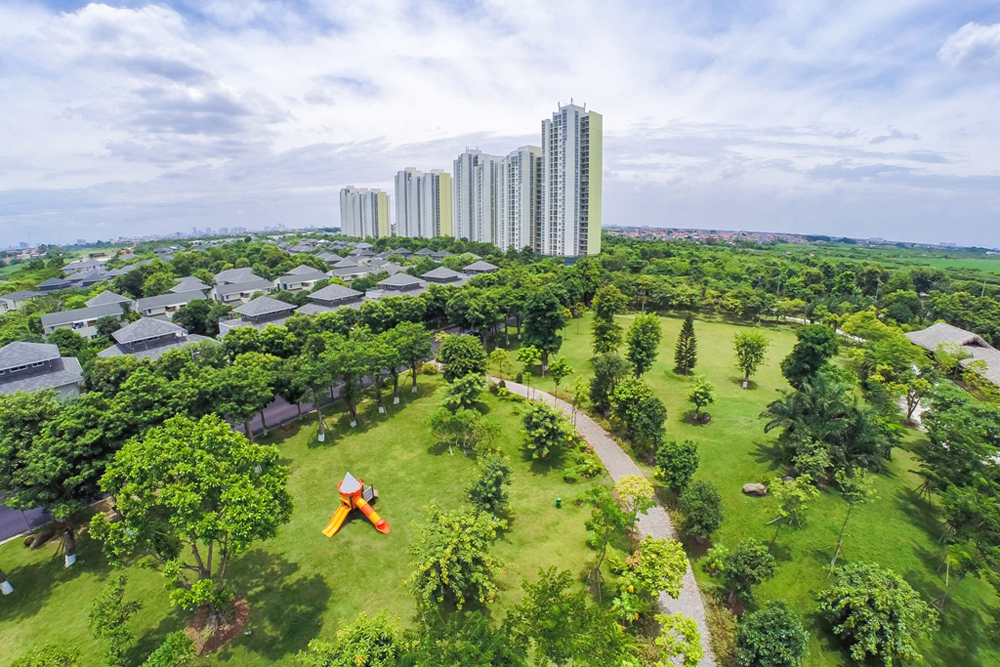 sử dụng đất